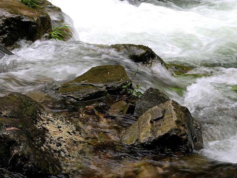 水质检测氨氮高于总氮的原因