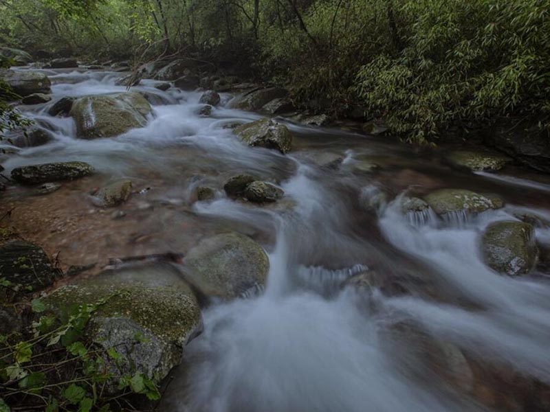 水质氨氮检测常见问题有哪些