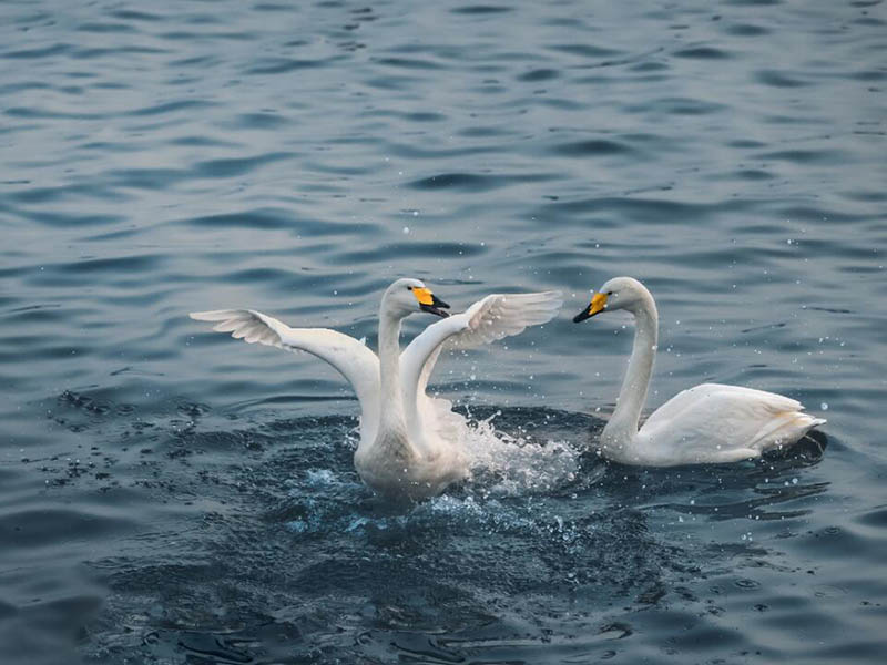 水质电导率检测标准