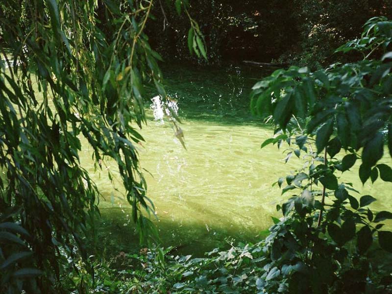 水质总磷检测前处理方法