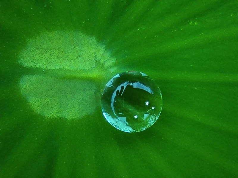 水质检测样品的采集（水质检测水样的保存与运输）