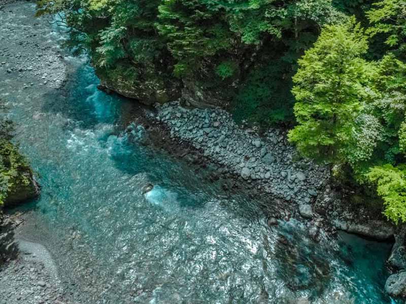 水中氨氮和总氮哪个高