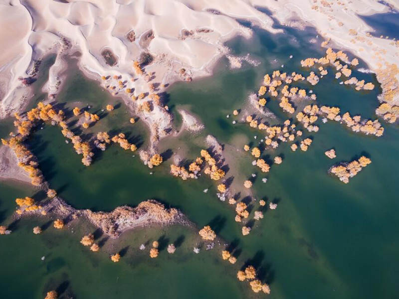 污水处理厂出水口氨氮大于总氮的原因