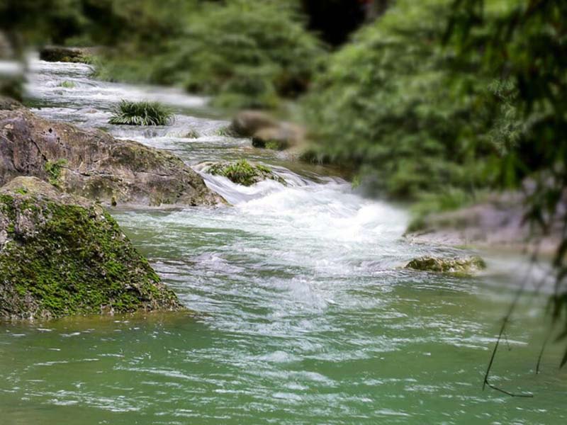 水质总磷检测原理步骤（地表水总磷检测标准值）