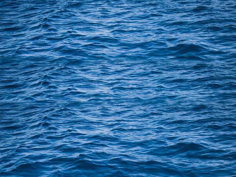污水重金属钼检测的必要性