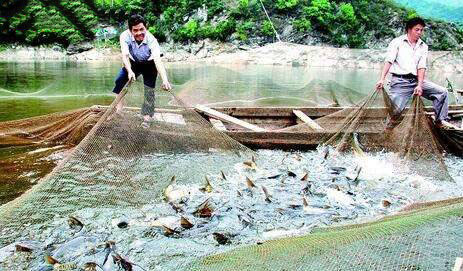 水产养殖中溶解氧的重要性