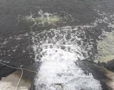 cod水质浓度过高对环境及人类的危害
