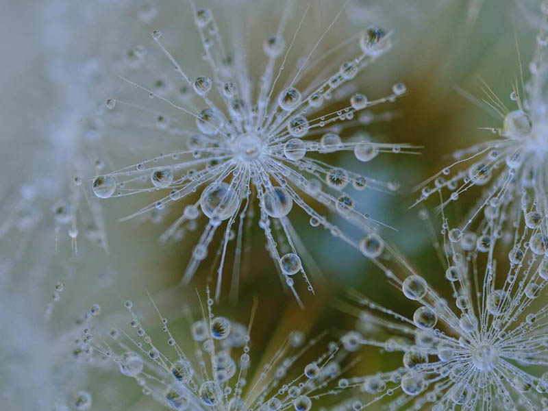 如何区分自来水中的颗粒和浊度(浊度和颗粒的检测原理)