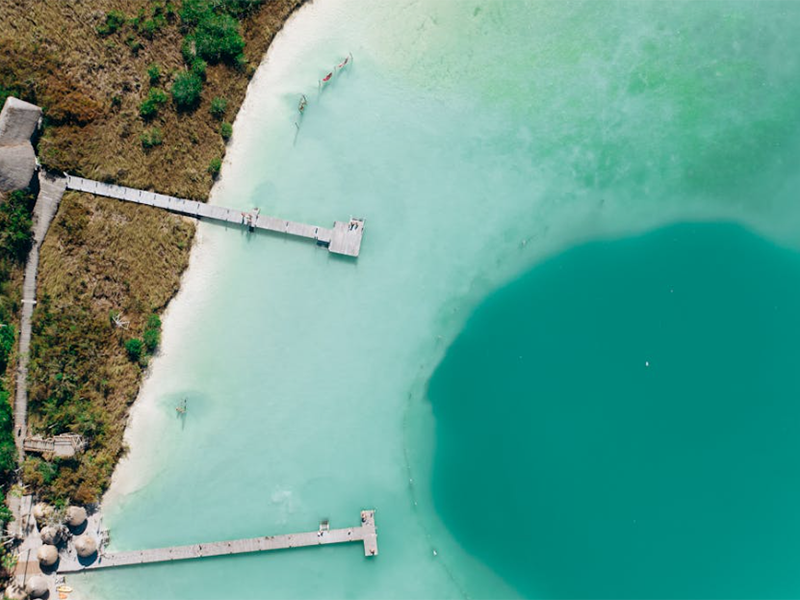 二氧化氯的作用