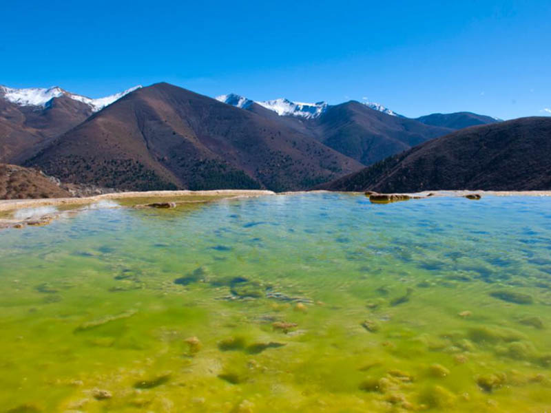 水体叶绿素a检测的意义