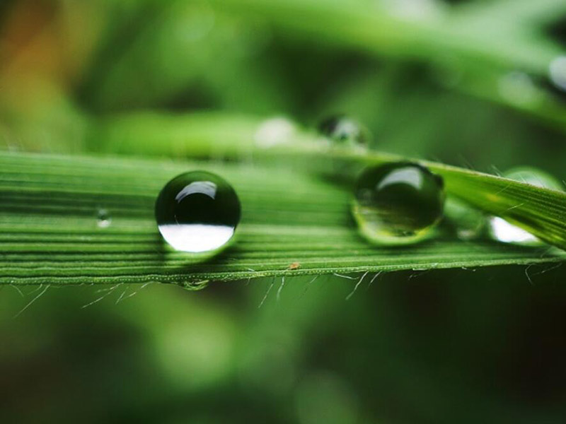 BOD快速分析仪怎么用