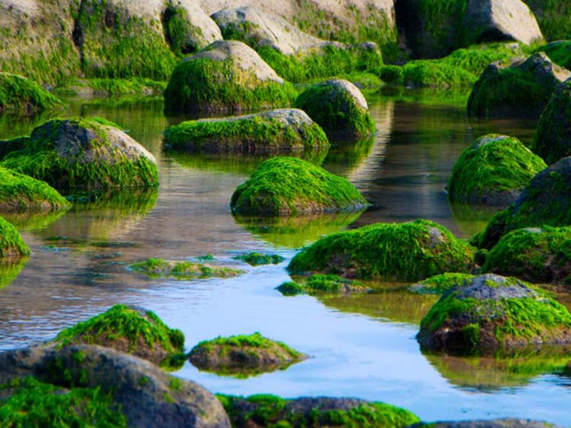 水质检测中的总磷是什么