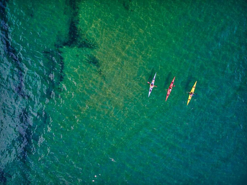 蓝绿藻爆发对饮用水原水的危害（水中蓝绿藻如何监测）