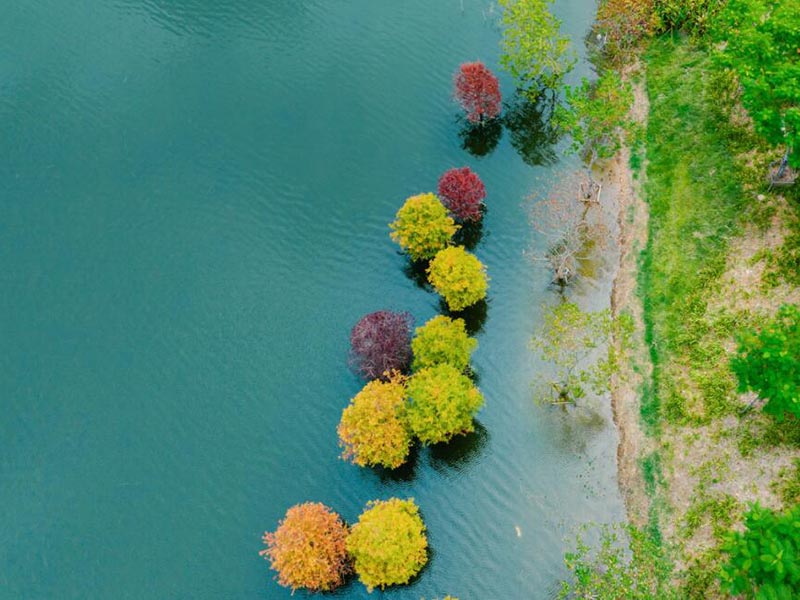 氨氮检测常见干扰有哪些