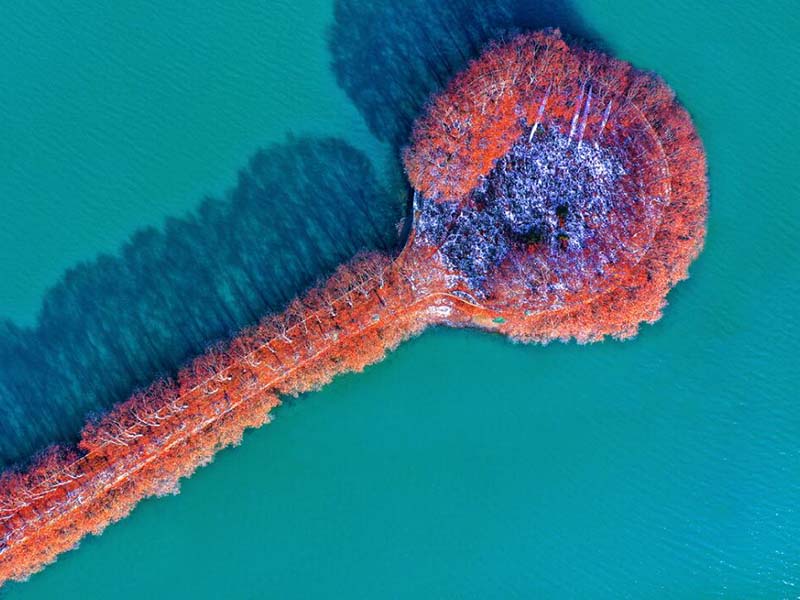 水质好坏如何检测（水质检测方法与技术汇总）