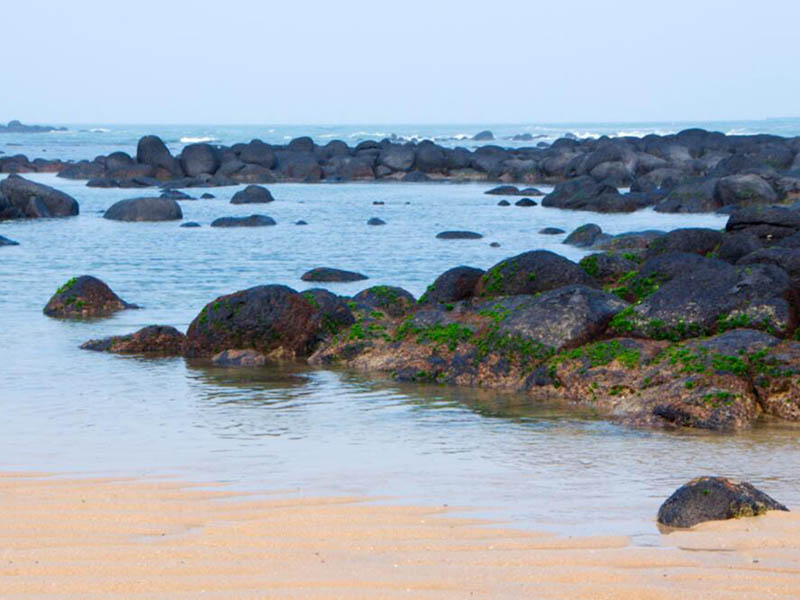总氮包括哪些形式的氮